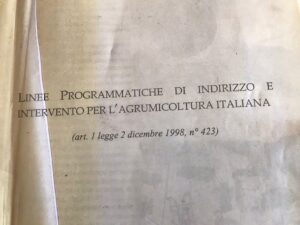 DAS, il documento vintage, le Linee Programmatiche per agrumicoltura (dicembre 1998)