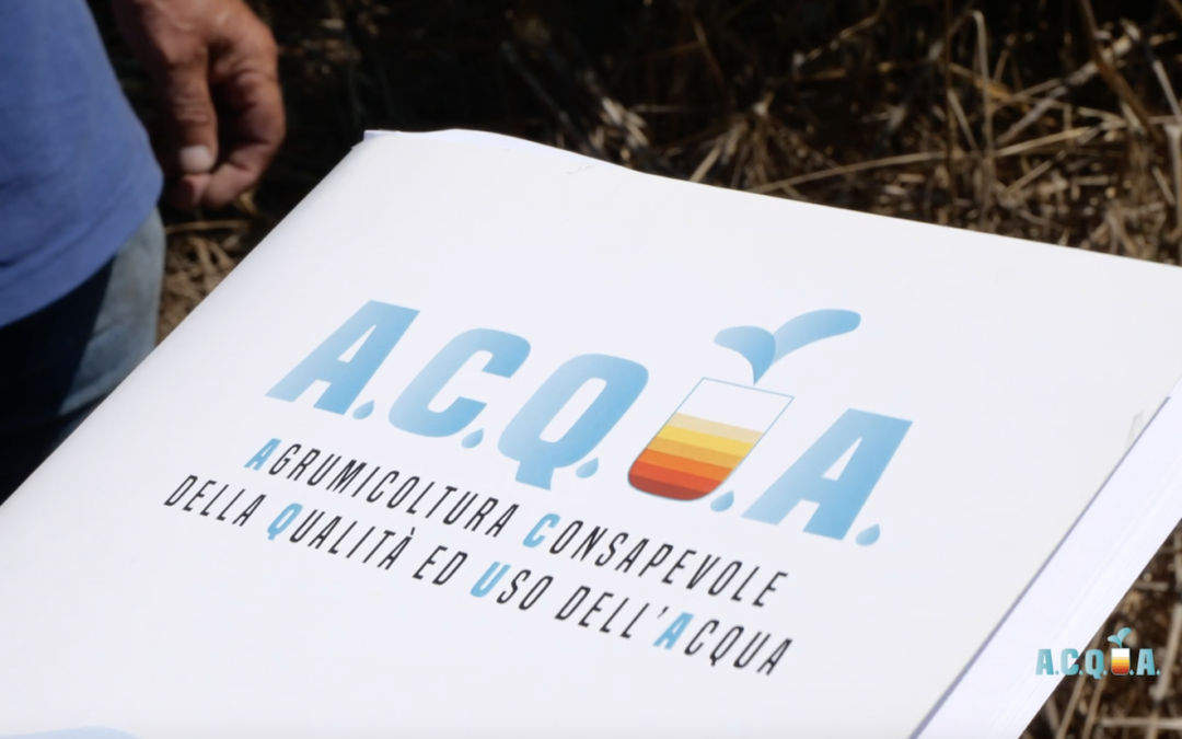 Agrumi, i risultati del progetto A.C.Q.U.A.: ecco come si usa l’acqua nella filiera agrumicola siciliana: qualità, sprechi, soluzioni irrigue, tecnologie