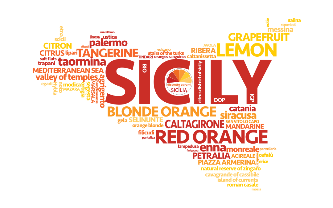 Assemblee, ordinaria e straordinaria, dei soci della società consortile Distretto Produttivo Agrumi di Sicilia
