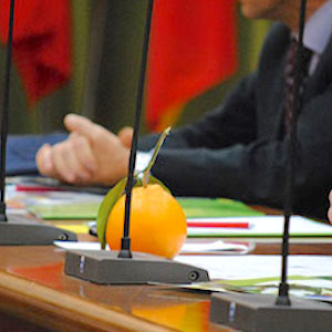 Export arance rosse in Cina, incontro al Mise: Argentati: «Traguardo raggiunto grazie a lavoro di squadra. Nostri agrumi in fascia Premium»