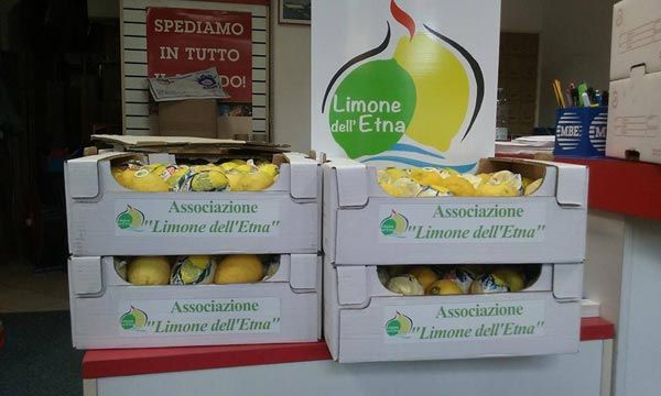 Il 'Limone dellEtna' allExpo Gate di Milano